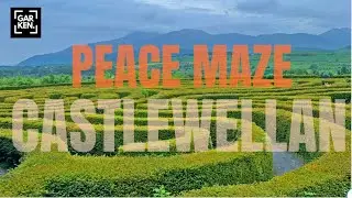 Peace Maze, Castlewellan, Northern Ireland [4K]