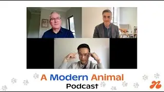 [A Modern Animal Ep8] Learning about Traditional Chinese Veterinary Medicine with Dr. Neal Loh