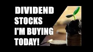 M1 Finance 3 Stocks I'm Buying This Week, 1 Oct 2019, Last Weeks Portfolio Update & Dividends