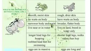 Fish, Amphibians, and Reptiles