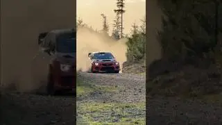 If in doubt, FLATOUT!🚗💨#rallying #rally #subarurally #subaru #subaruwrx #rallycar #racecar