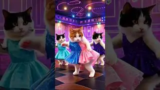 Dudi Dudi Dam Dam💃🍼😻| #shorts #shortfeed #dudidudidam #catvideos #viralcat #364
