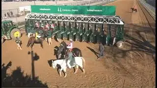 R3 ЧЕРЧИЛЛЬ-ДАУНС 28 НОЯБРЯ 2025 ГОДА