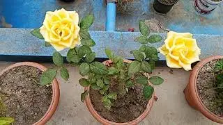 Suvichar | Emotional Heart Touching Story | Motivational Story | Moral Story Hindi Sacchi Kahani