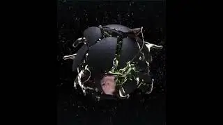Digital Immortals