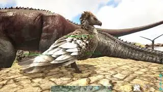 Ark construction*