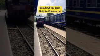 Toy train beautiful scenic views 🚂 OOTY to CONOOR 🛤️🚃 #shortvideo #toytrain