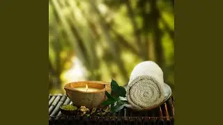 Soft Bamboo Air