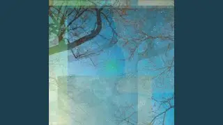 Oak Tree