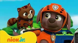 PAW Patrol | ¡Buscando fantasmas en el bosque! 👻 | Nick Jr. en Español
