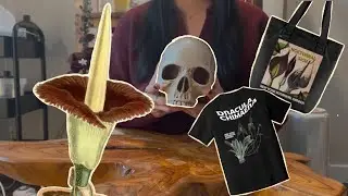 NYBG has a GOTH collection??
