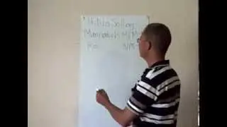 Mannatech Business Plan Eng