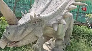 India Seashell Museum in Dinosaur Museum / 3D tracky art museum - Mahabalipuram