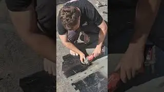 Пальцы ног Красавца