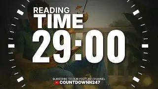 📖 29-Minute Reading Relax Timer | Calm Background Music for Deep Focus 🌿