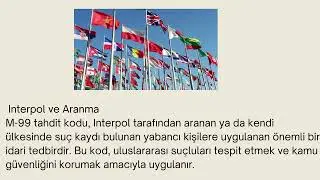🔍 M-99 Tahdit Kodu Nedir? N 99 Tahdit Kodu Neden Uygulanır? 1️⃣ Interpol Arama Kararı