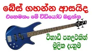 බේස් ගිටාර් a to z | 15-Minute Bass Guitar Practice Routine for Beginners | බේස් ගිටාර් පාඩම්