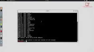 [Penetration Testing] Scanning a single target