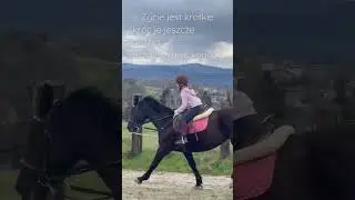 Chciała mi przejść do galopu!🤬#equestrian #horseriding #jazdakonna #jeździectwo #influenser #galop
