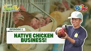#AgriTVCentralLuzon | Season 3 Episode 1 Part 2