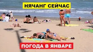 Погода в Нячанге Сегодня 10.01.2026 | Прогноз Погоды Вьетнам Январь Температура Воды | Нячанг Сейчас