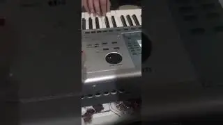 Tallava Korg Pa50