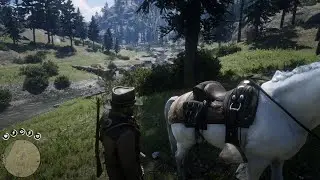Red Dead Redemption 2 (4K) Couguar