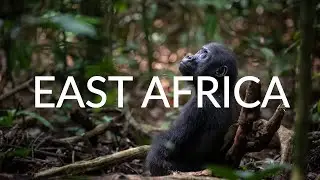Giltedge Africa - Explore East Africa With Us