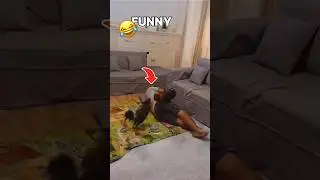 Funniest Animal Movements😂(TRY NOT TO LAUGH)#shorts #funnyanimal #pets