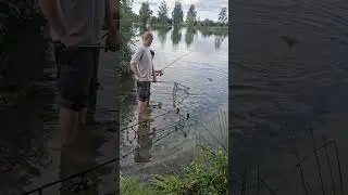 Karpfen auf Stalker Combo PENN Spinfisher VI Live Liner Spinning 2500 BX