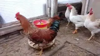 VID 20221104 124521