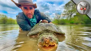 Giant Mud Dragon a.k.a Big Daddy! - in VR180!