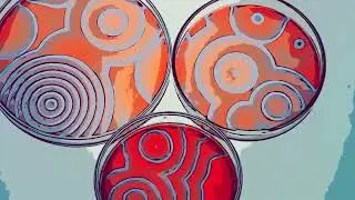GROWING SEEDS (feat. Jos&eacute; Hoek)  - Gustavo Casas y Los Que Buscan [Visualizer+Lyrics]