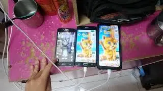 Talking Tom 2 & Talking Ginger Echo 22710