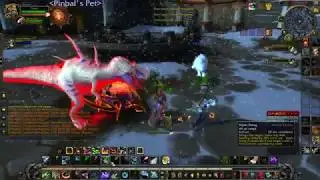 WoW Bm Hunter Clicker 2v2