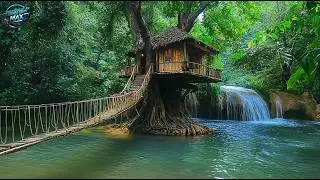 Building a Bamboo Treehouse Over a Waterfall