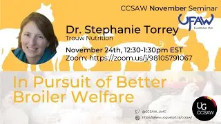 In Pursuit of Better Broiler Welfare | Dr. Stephanie Torrey