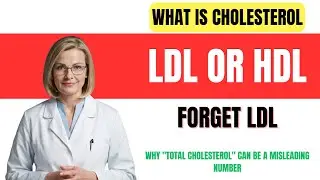 A Cardiologist Explains How to Read Your Cholesterol Numbers