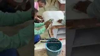 Corian Installation 😇
