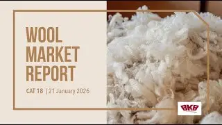 BKB Wool Market Report CAT18 | 21 January 2026 | isiXhosa
