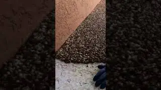 &iexcl;CREANDO piso de piscina con piedras!