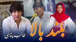 Buland Bala | New Song 2025 | Talib Panahi | MEM PRODUCTION | بلند بالا | طالب پناهی |