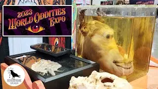 WORLD ODDITIES EXPO 2023