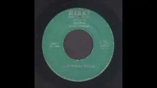 The Royal Rebels - Drive-In - Rockabilly 45