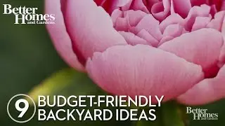9 Budget-Friendly Backyard Ideas