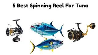 best spinning reel for tuna 2025