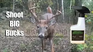 How to Shoot Big Bucks - Limb Liquor