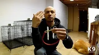 Prudent K9 Training - Tools I Use: Dominant Dog Collar/Snap-Around Collar