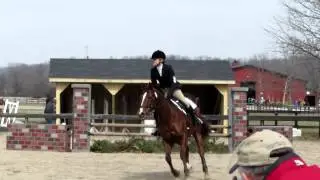 Covered Bridge Pony Club Test 2013