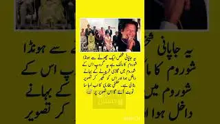 #MaryamNawaz Photo Viral in Japan - Imran Khan Latest New Updates